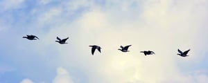Migrating to Microsoft Azure: Myths vs Reality